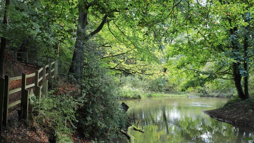 The River Bollin in Southern Woods at Quarry Bank Mill, Cheshire